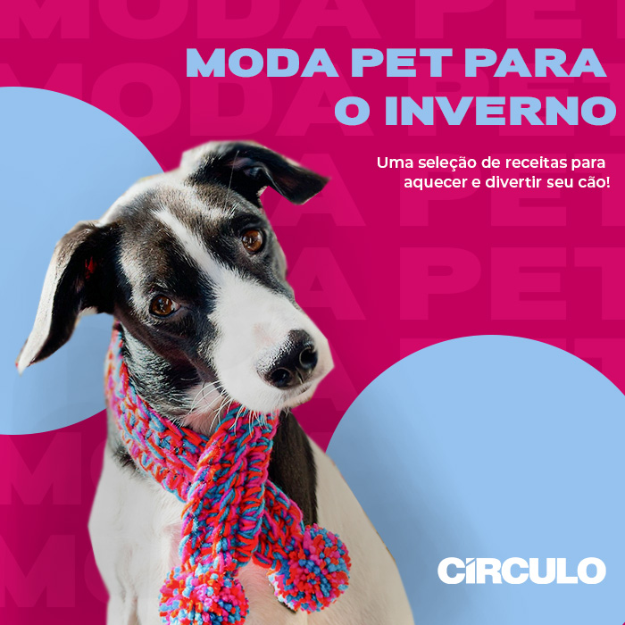 Roupa pet: uma seleção de receitas para aquecer e divertir cães e gatos